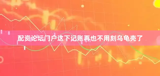配资论坛门户这下记账再也不用刻乌龟壳了
